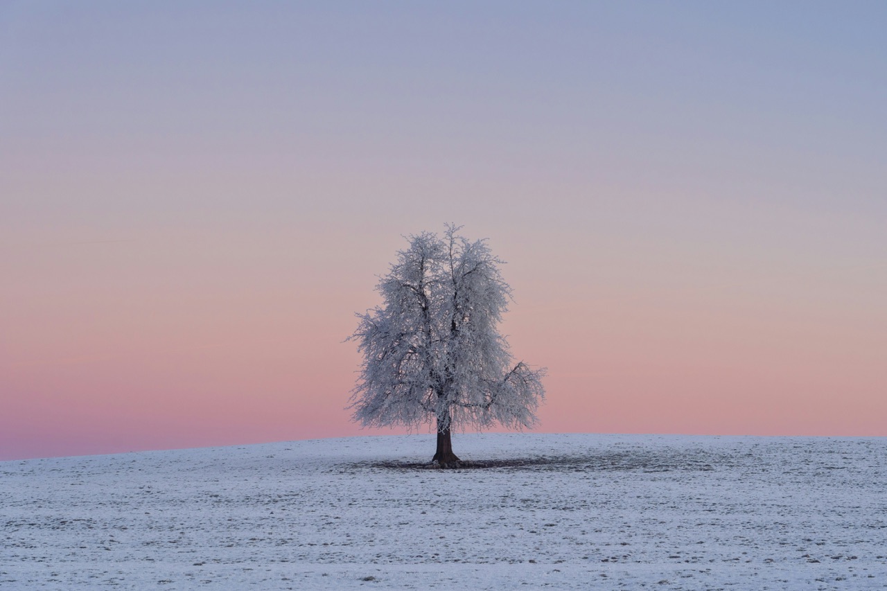 新域名与“孤芳自赏”